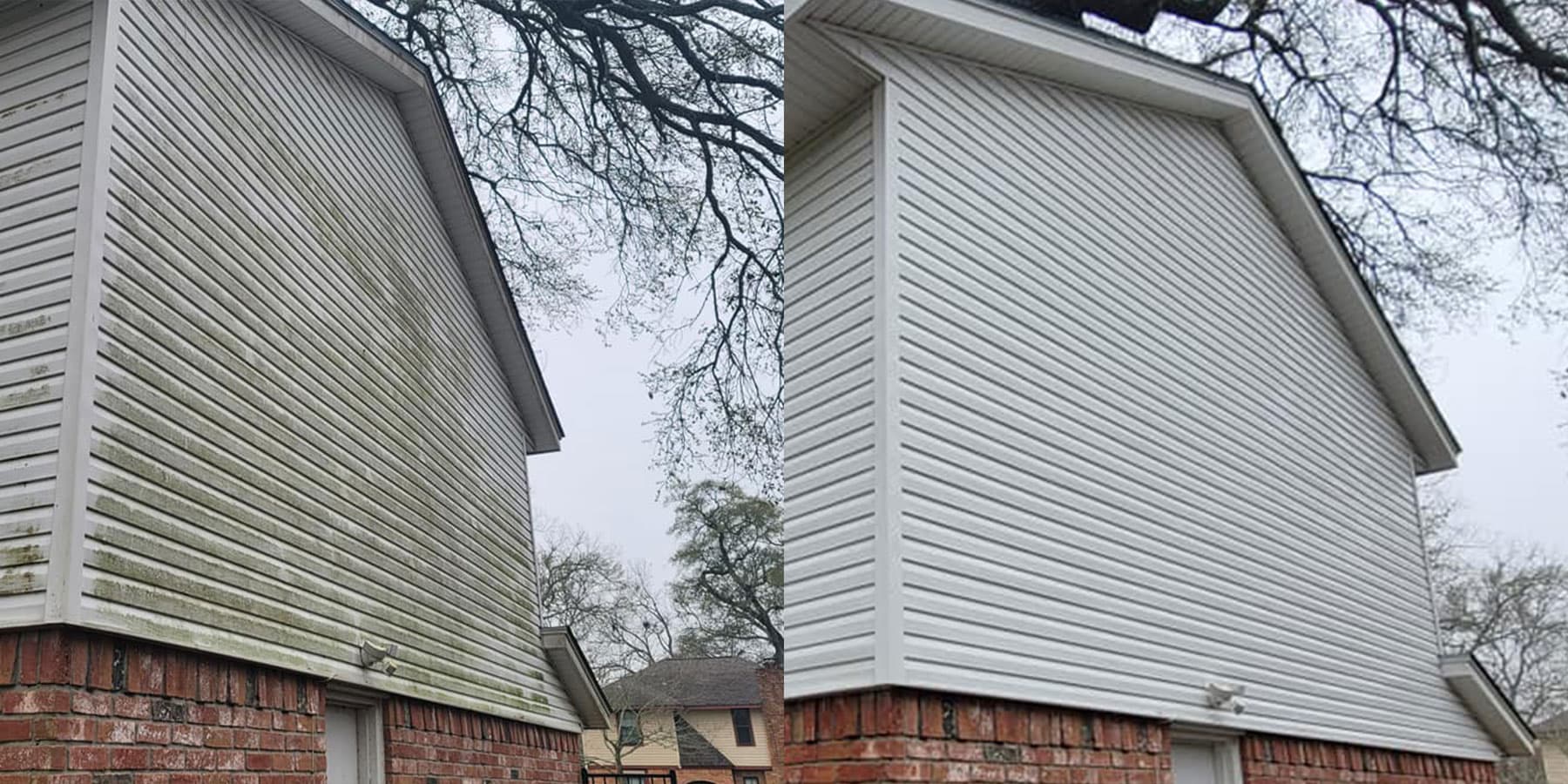 Soft washing removing green mildew from vinyl siding on a Lake Jackson house